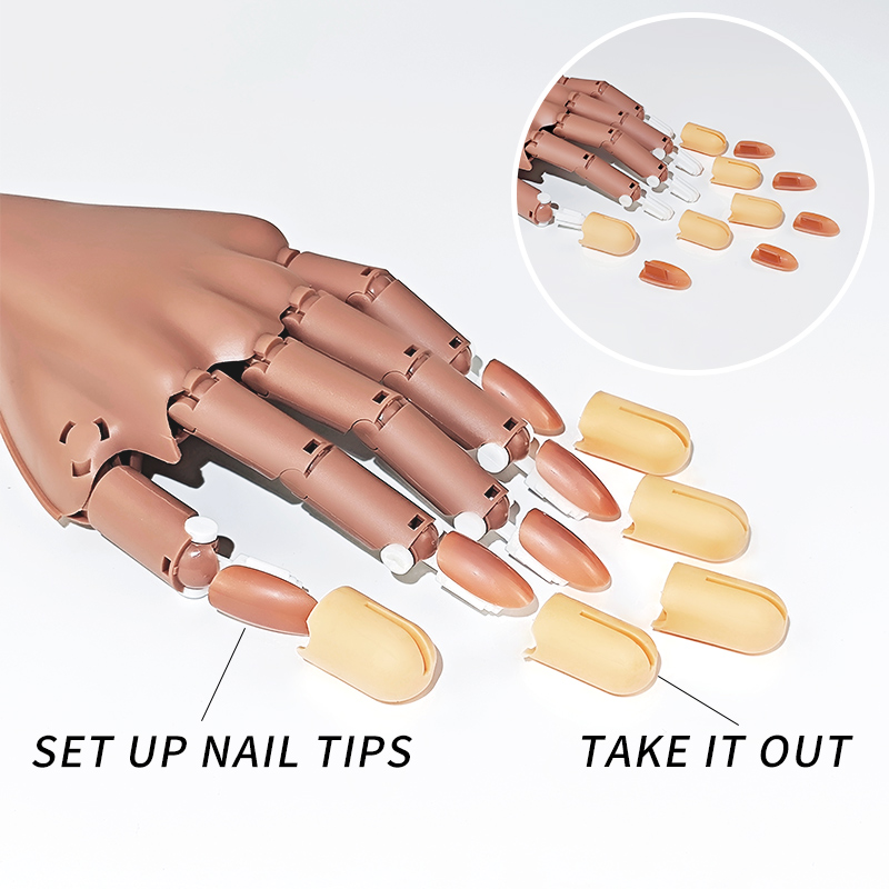 มือฝึกทำเล็บปลอม แบบมีข้อต่อขย - Nail Art Vector บทวิจารณ์และราคา